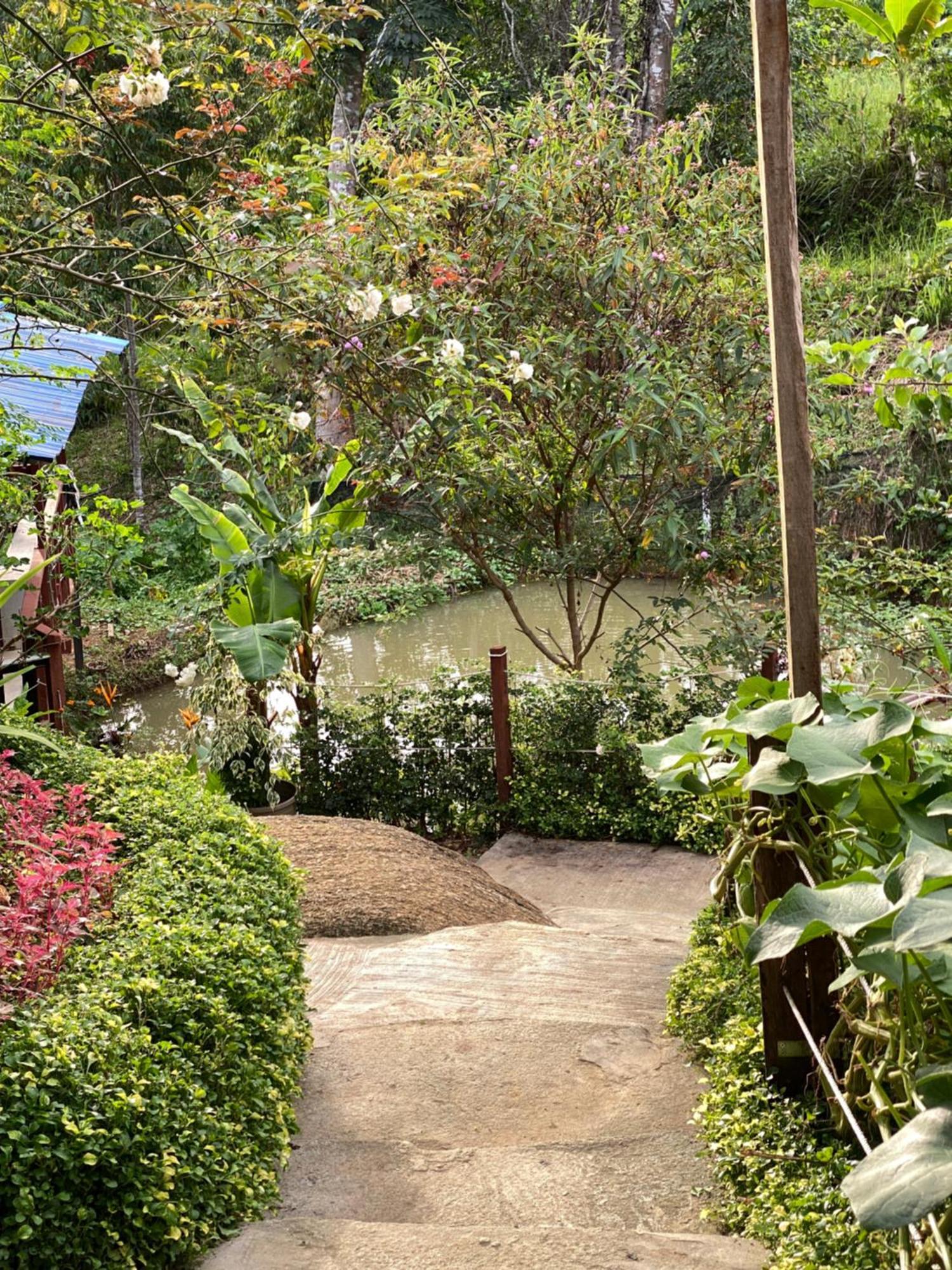 מלון ראנאו Da Family Mini Garden מראה חיצוני תמונה